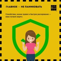 Главное - не паниковать