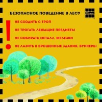 Безопасное поведение в лесу